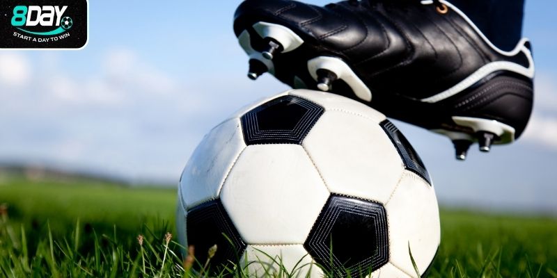 Kinh nghiệm soi kèo chuẩn cho người mới