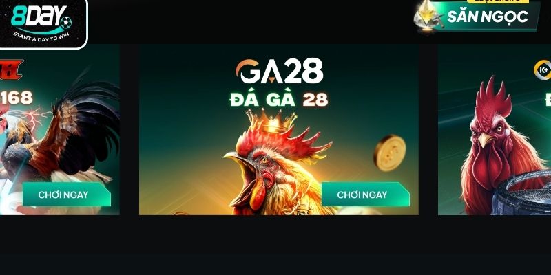 Những điểm nổi bật của chọi gà 8day
